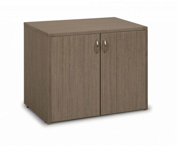 TWO DOOR CABINET