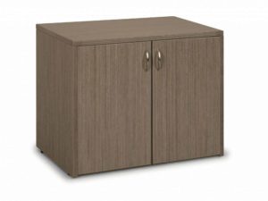 TWO DOOR CABINET