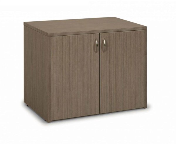 TWO DOOR CABINET