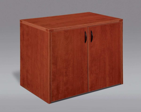 TWO-DOOR CABINET
