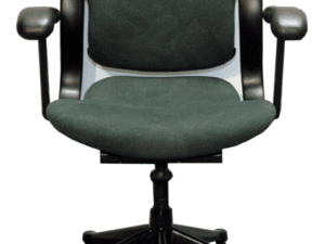 Task Chair - Herman Miller, Equa, Dark Green Patterned