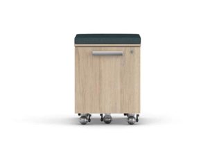 Level mobile pedestals