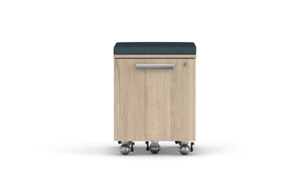 Level mobile pedestals